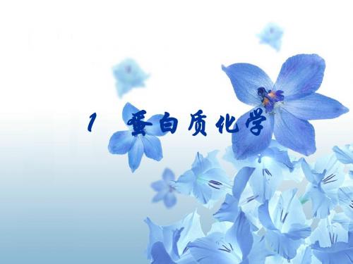 1蛋白质-1