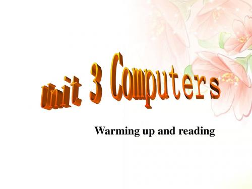 Unit 3 Computers Warming up and Reading精品公开课课件