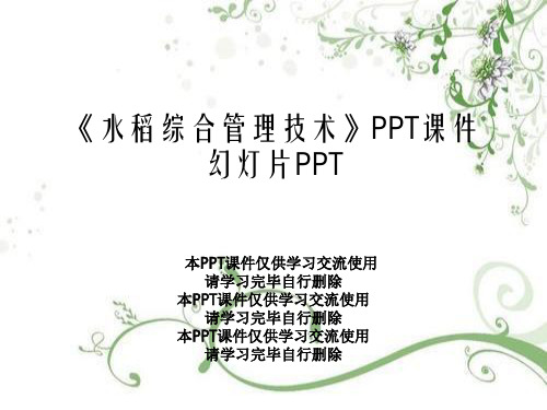 《水稻综合管理技术》PPT课件幻灯片PPT