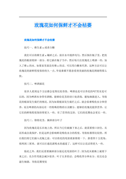 玫瑰花如何保鲜才不会枯萎