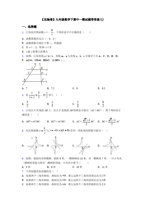 【压轴卷】九年级数学下期中一模试题带答案(1)