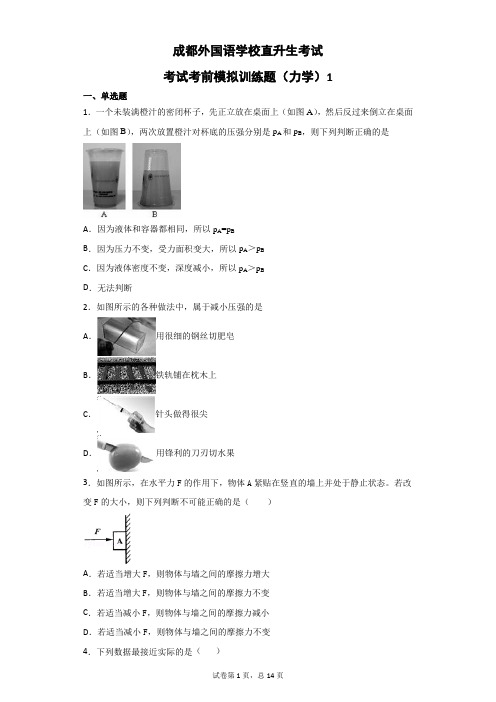 成都外国语学校直升考试考前物理综合模拟训练题(力学)1 物理力学培优 中考模拟