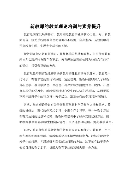 新教师的教育理论培训与素养提升