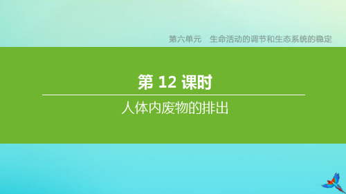 (连云港专版)2020中考生物复习方案第六单元生命活动的调节和生态系统的稳定第12课时人体内废物的排出课件