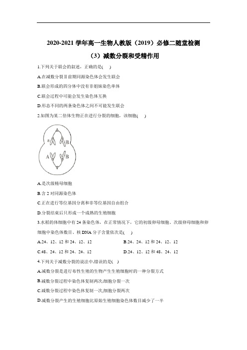 -学年高一生物人教版（）必修二随堂检测 第2章 基因和染色体的关系（共3份 含解析）