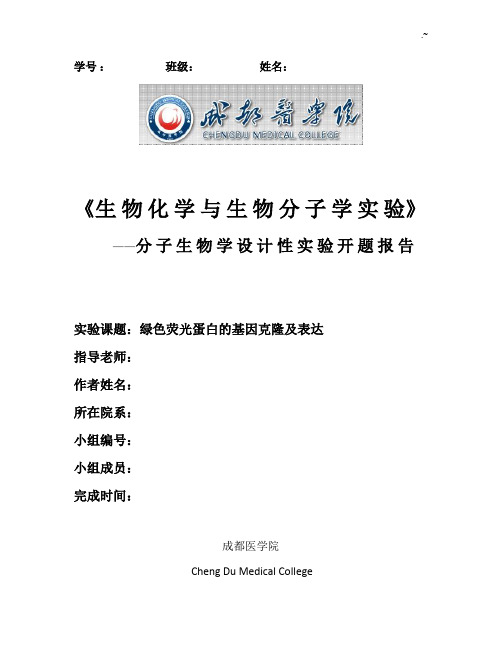 生化绿色荧光蛋白的基因克隆及表达开题报告