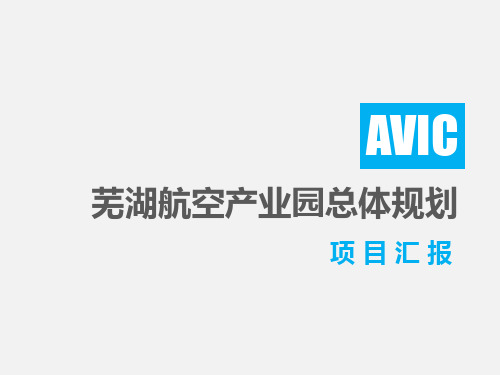 AVIC安徽省芜湖市航空产业园总体规划项目报告