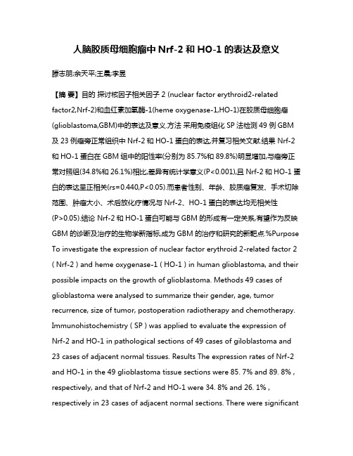 人脑胶质母细胞瘤中Nrf-2和HO-1的表达及意义