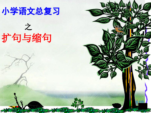 小学二年级语文缩句、扩句学习PPT新-1省公开课获奖课件说课比赛一等奖课件