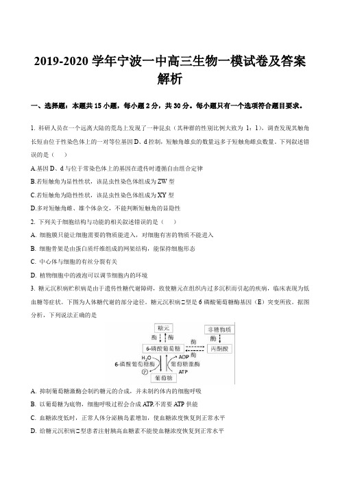 2019-2020学年宁波一中高三生物一模试卷及答案解析