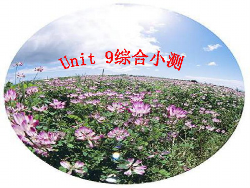 人教版初三英语上学期Unit9-复习训练