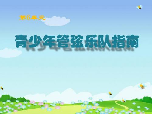 《青少年管弦乐队指南》PPT课件2 (共19张PPT)