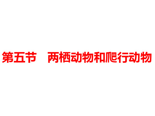 5.1.5 两栖动物和爬行动物 课件 人教版八年级上册生物(共22张PPT)