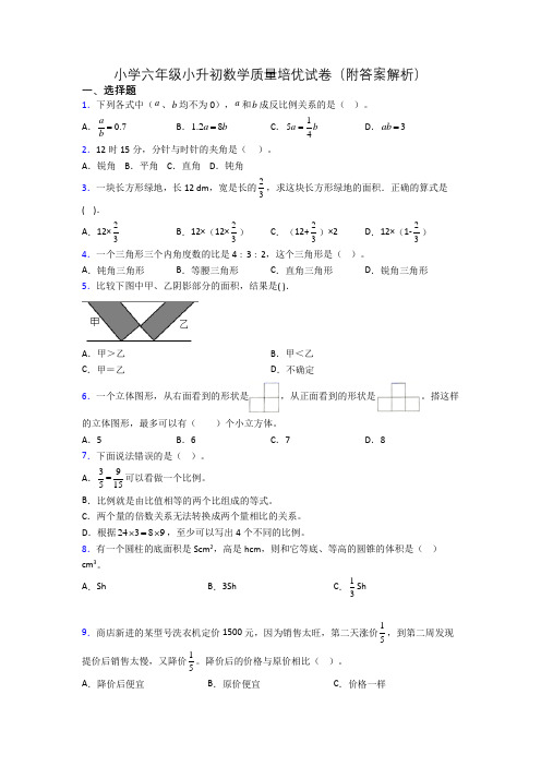 小学六年级小升初数学质量培优试卷(附答案解析)