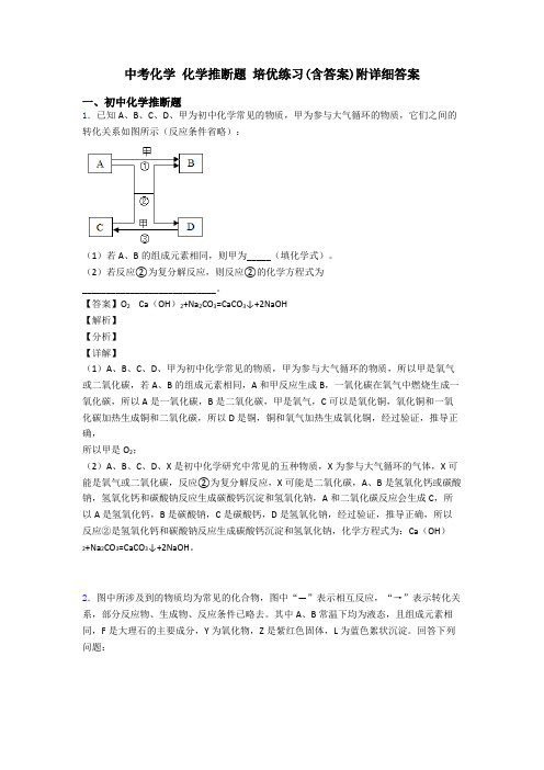 中考化学 化学推断题 培优练习(含答案)附详细答案