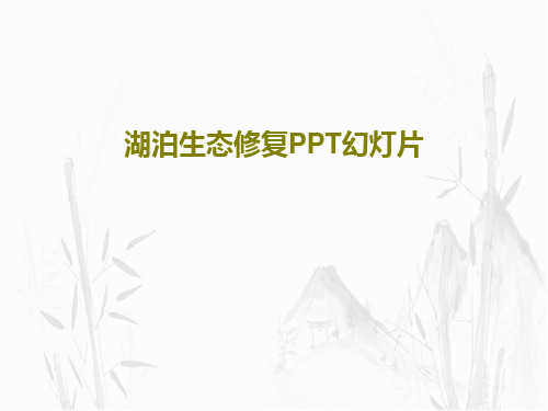 湖泊生态修复PPT幻灯片共58页