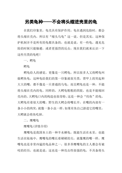 另类龟种——不会将头缩进壳里的龟