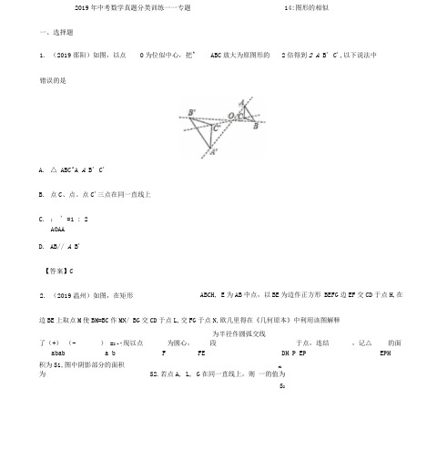 2019年中考数学真题分类训练——专题14：图形的相似