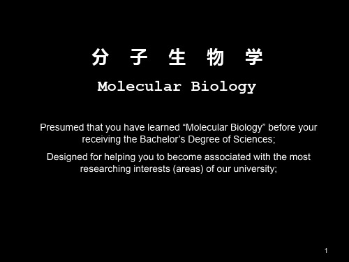 (推荐)《分子生物学全套》PPT课件