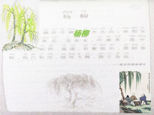 小古文杨柳(课堂PPT)