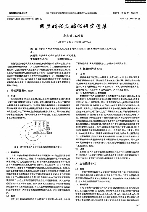 同步硝化反硝化研究进展