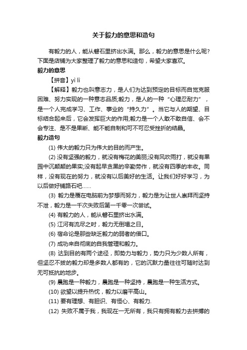 关于毅力的意思和造句