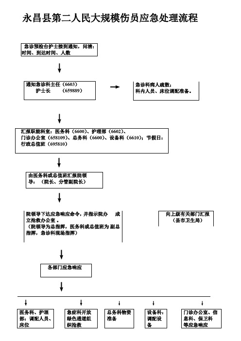 大规模伤员应急处理流程图