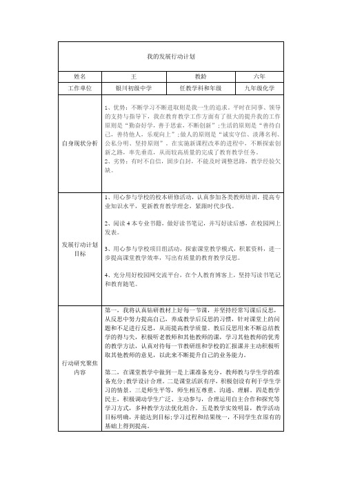 我的发展行动计划