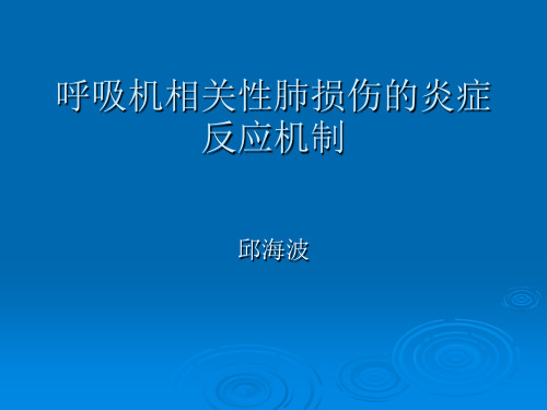 呼吸机相关性肺损伤的炎症反应机制