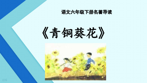 统编版六年级语文下册小升初课外阅读青铜葵花导读课件(共19张PPT)