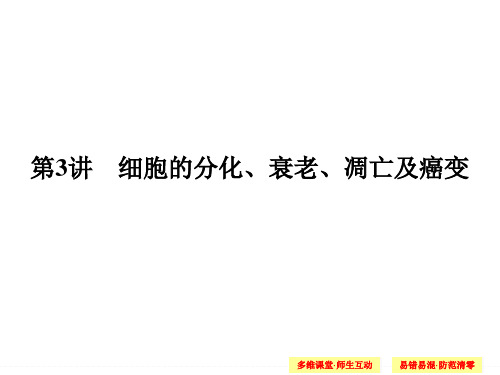 细胞分化衰老凋亡癌变