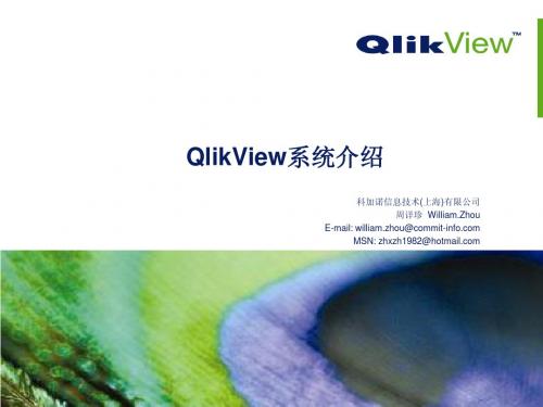 QlikView介绍