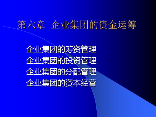 第六章 集团资金运筹