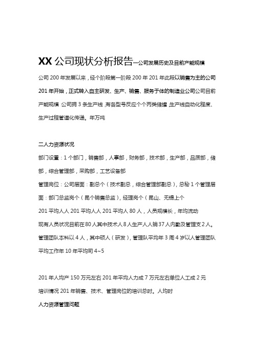 公司现状分析报告