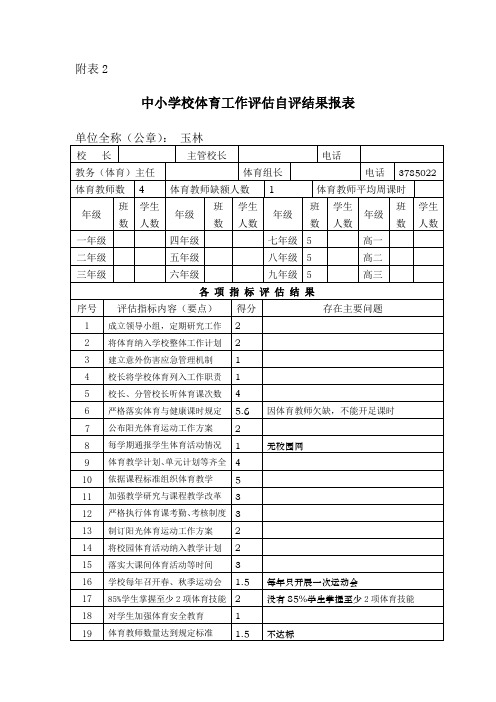 体育工作评估自评结果报表 - 副本