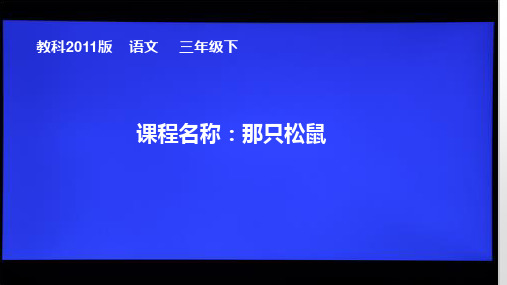 三年级下册语文《6 那只松鼠》课件 教科五四学制版