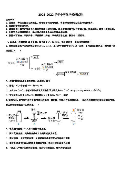 广东省深圳实验校2021-2022学年中考一模化学试题含解析