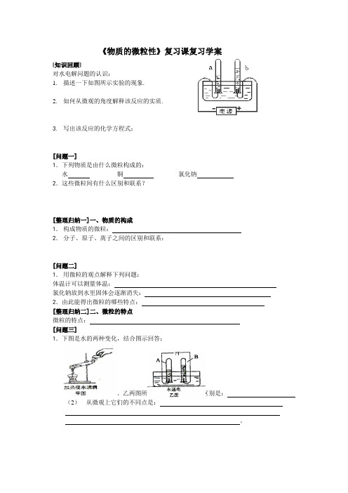 物质的微粒性复习课复习学案(精)