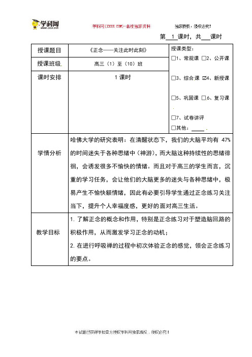 海南省华东师范大学第二附属中学乐东黄流中学高三心理健康与教育教案：2正念,此时此刻