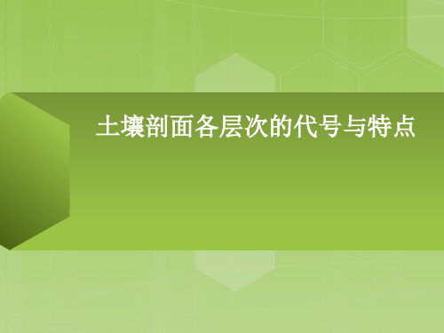 土壤剖面各层次的代 与特点