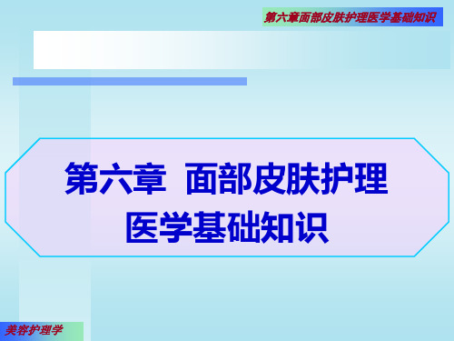 面部皮肤护理医学基础知识