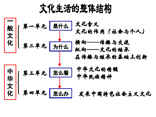 高中政治必修三(文化生活)第一课第一框 体味文化