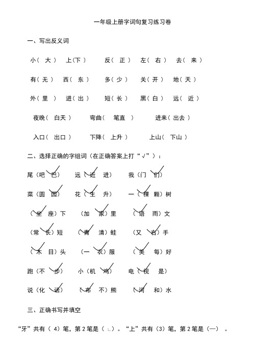 (答案)一年级上册字词句复习练习卷