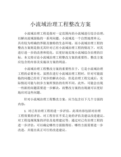 小流域治理工程整改方案