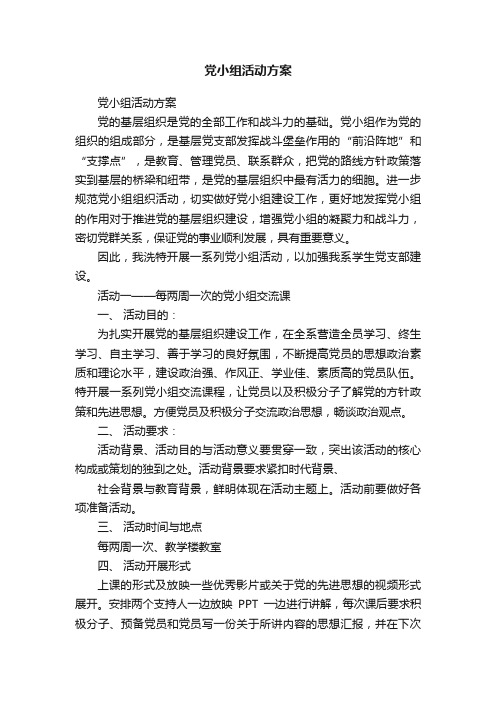 党小组活动方案