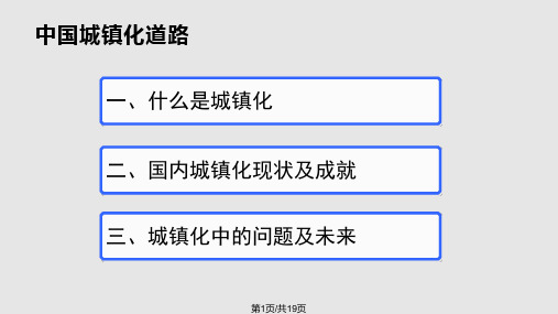 中国城镇化道路PPT课件