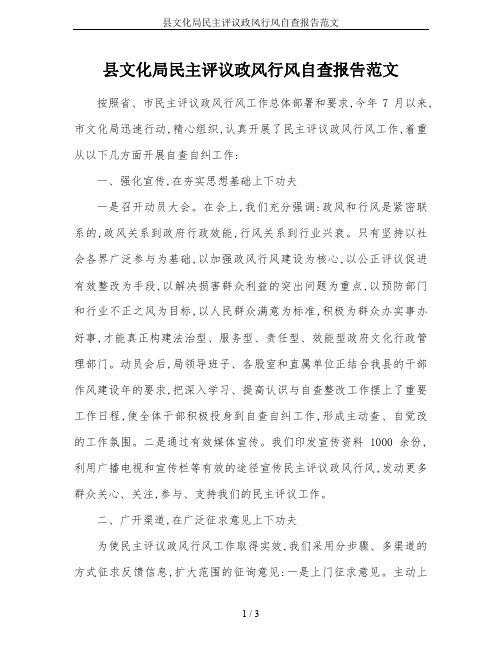 县文化局民主评议政风行风自查报告范文