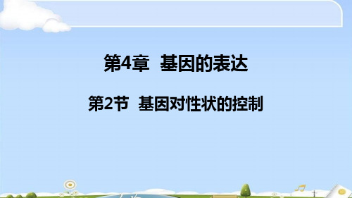 高中生物人教版必须二第四章第二节4.2基因对性状的控制(共37张PPT)