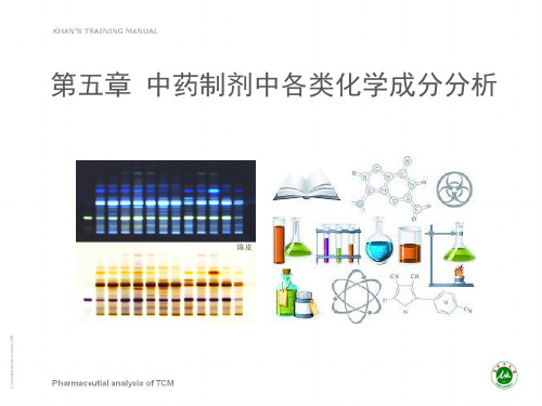 第五章各类中药分析