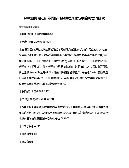 脑缺血再灌注后不同时间点病理变化与细胞凋亡的研究